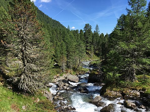 Lienzer Höhenweg ©Haselsteiner (TVB Osttirol)